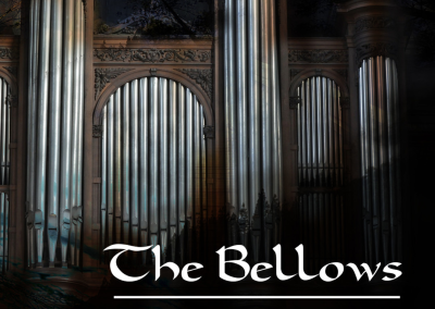The Bellows VR